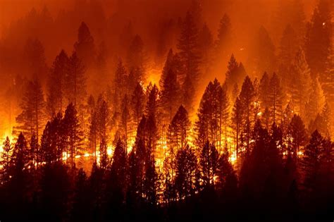 Wildfires in California are getting bigger, more destructive